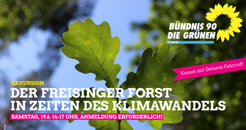 Exkursion: Der Freisinger Forst in Zeiten des Klimawandels