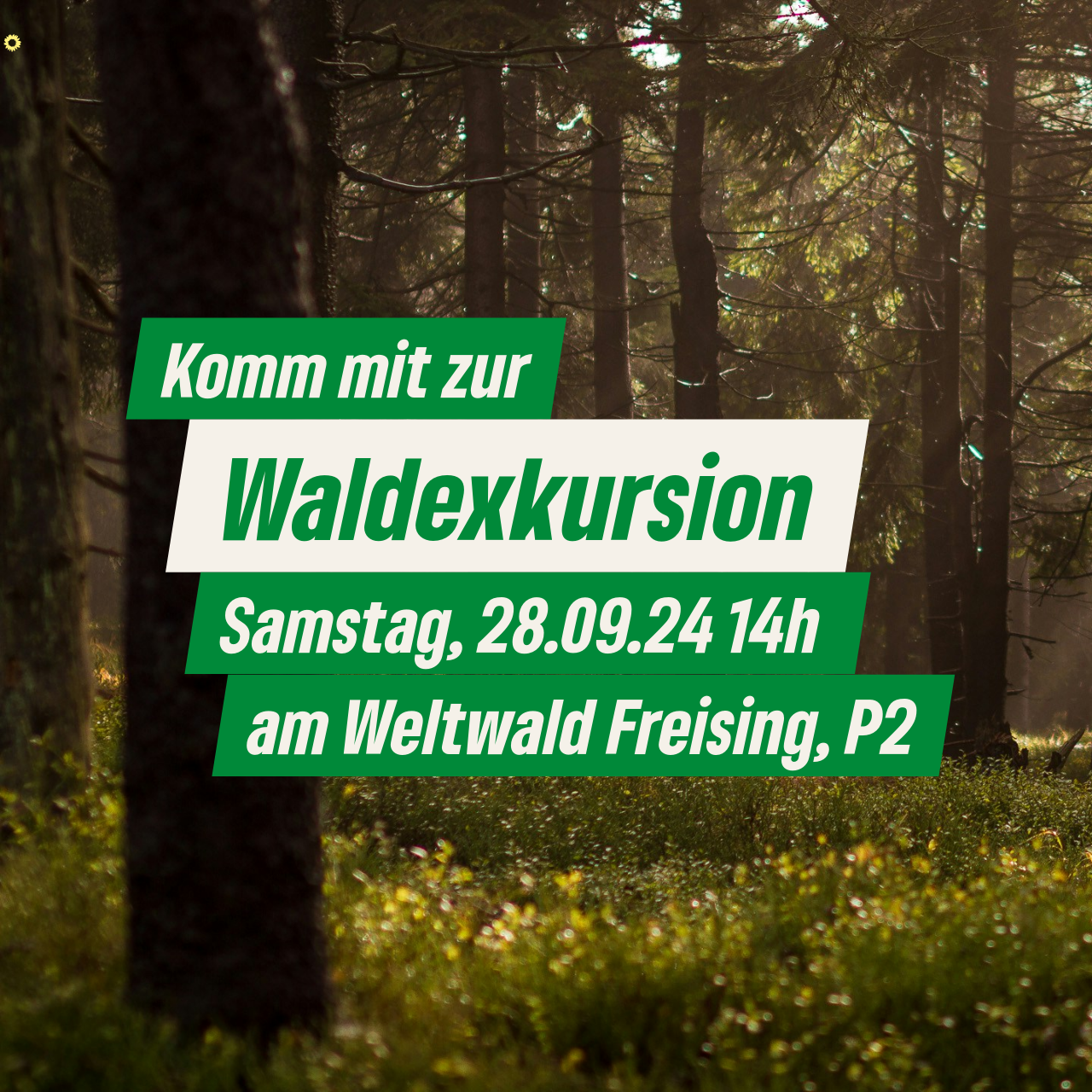 Waldexkursion